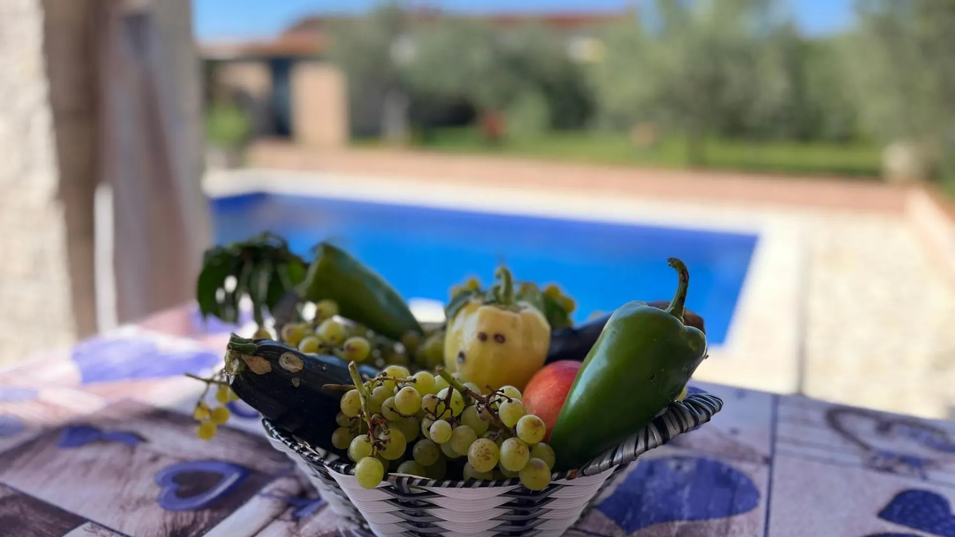 Villa Mirela With A Comfortable Garden And Pool Grandići